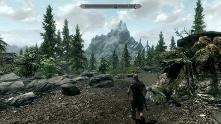 The Elder Scrolls 5: Skyrim - Nächster Patch erscheint nach Thanksgiving