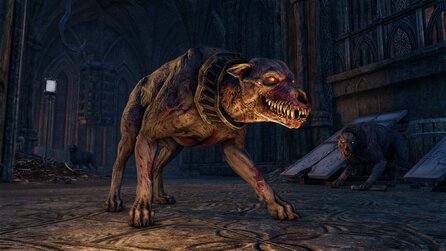 The Elder Scrolls Online: Greymoor - Screenshots