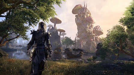 Alle Versionen von ESO: Morrowind - Inhalte der Standard-, Upgrade- und Collector’s-Editionen