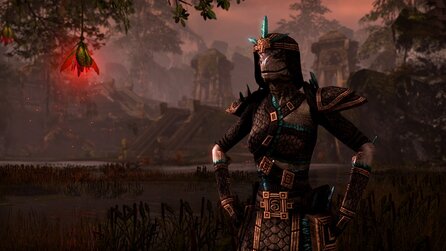 The Elder Scrolls Online - Solo unter vielen