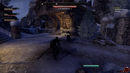 The Elder Scrolls Online - Screenshots aus Addon Thieves Guild