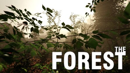 The Forest - Survival-Spiel bei Steam Early Access verfügbar