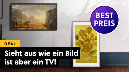 Der mit Abstand schönste Fernseher den es gibt – Samsungs The Frame bietet euch das perfekte Bild für die Heim-EM!