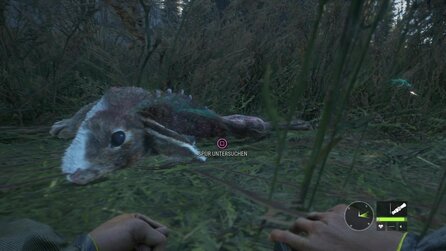 The Hunter: Call of the Wild - Screenshots