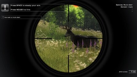 Grafik im Wandel der Zeit - Vegetation in The Hunter
