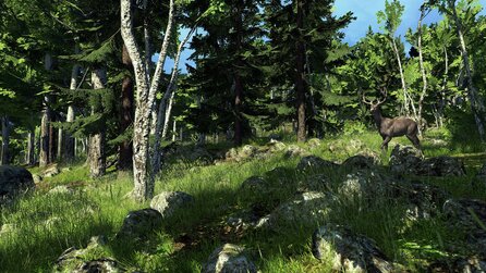 The Hunter - Screenshots