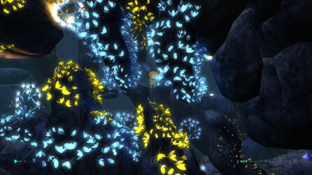 The UnderGarden