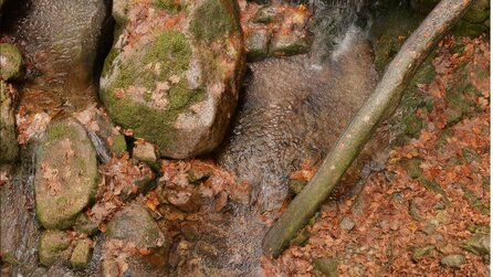 3D-Grafik im Wandel der Zeit - Texturen in The Vanishing of Ethan Carter