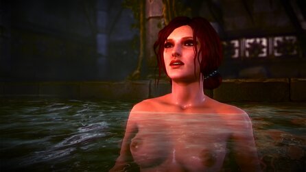 The Witcher 2: Assassin of Kings - 4,5-5 Millionen illegale Kopien