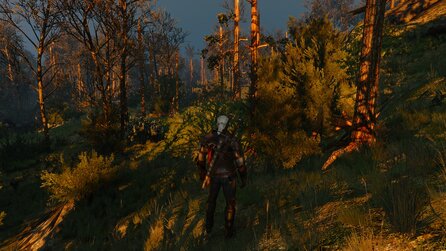 The Witcher 3 - Technik Check - Bilder