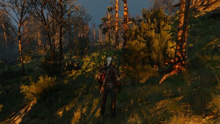 The Witcher 3 - Technik Check - Bilder