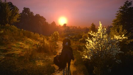 Witcher 3 - Patch 1.04 sorgt für neue Grafik-Beschwerden