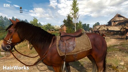 The Witcher 3 - HairWorks