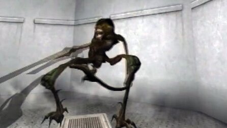 The Y-Project - Preview-Video