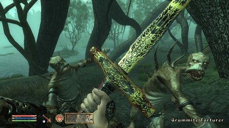 Elder Scrolls Oblivion