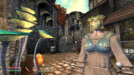 Elder Scrolls Oblivion