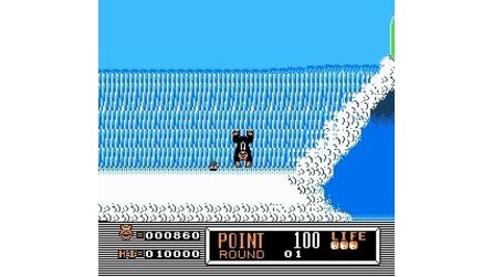Town + Country Surf Designs: Wood + Water Rage NES