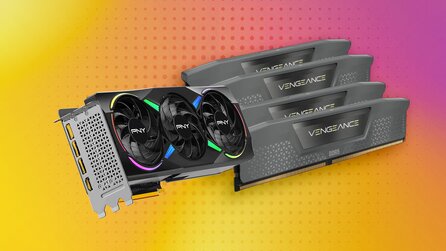 Spieler tauscht riesige Menge RAM gegen Grafikkarte, aber was mal ein guter Deal gewesen wäre, ist es heute nicht mehr