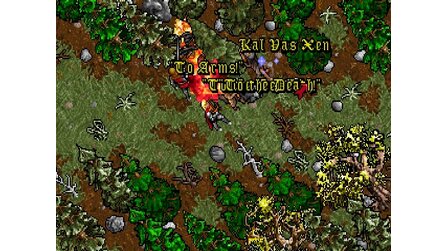 Ultima 7 - Screenshots