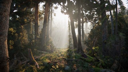 Unity Engine - Neue Demo zeigt die Zukunft der Echtzeit-Grafik