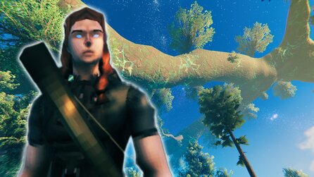 Ich hasse Survivalspiele, verliebe mich aber gerade in Valheim
