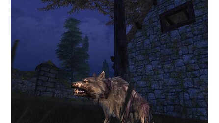 Vanguard: Saga of Heroes - Video zeigt Reittier