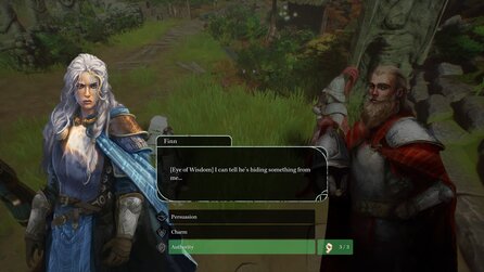 Rise of the Fianna: Neues Rollenspiel kommt ohne Klassen aus, erinnert trotzdem an Baldurs Gate