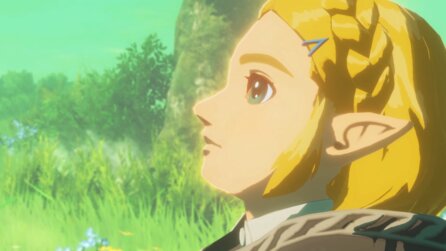 Hyrule Warriors: Age of Imprisonment - Nächster Teil angekündigt, es geht in die Vergangenheit