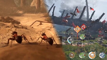 Empire of the Ants: Dank Koop-Update könnt ihr jetzt gemeinsam eine Ameisen-Kolonie zum Sieg führen