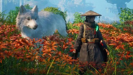 Beast of Reincarnation - Die Pokémon-Entwickler zeigen endlich echtes Gameplay zu ihrem brandneuen Action-Rollenspiel