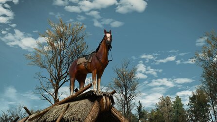 »Ihr Schweine« - CD Projekt kündigt etwas Neues für The Witcher 3 an und die Fans fallen voll drauf rein