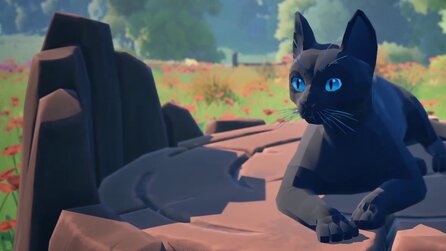 Pokémon Snap mit Katzen: In Cat a Photo werdet ihr zum professionellen Katzenfotografen