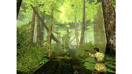 Grafik im Wandel der Zeit - Vegetation in Vietcong
