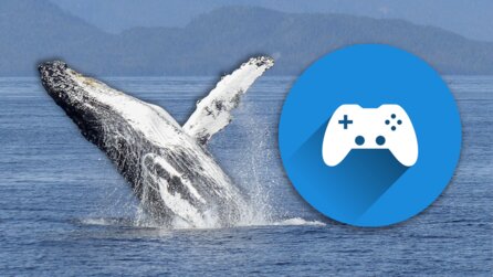 Natürlich gibts zu Timmy dem Wal auch schon ein Spiel - es ist nur nicht besonders gut (und wir nicht wirklich überrascht)