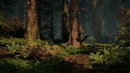 Unreal Engine 4 - DICE-Entwickler zeigt detailreiche Wald-Demo