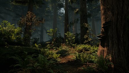 Unreal Engine 4 - Screenshots aus der Wald-Demo im Endor-Stil