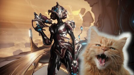 Kaputtes Warframe-Event sorgt wieder für Ärger - Schuld hat eine Katze