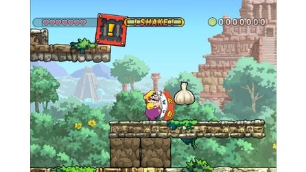 Wario Land: Shake It! Wii