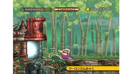 Wario Land The Shake Dimension Wii