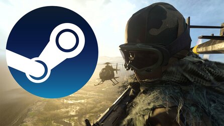 Call of Duty: Warzone auch auf Steam? Wir fragen die Entwickler