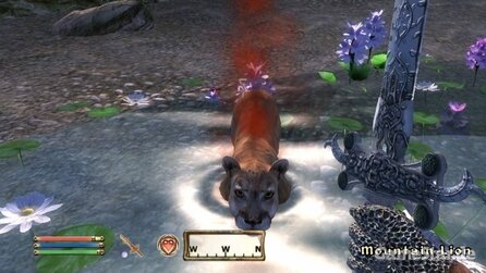 3D-Grafik im Wandel der Zeit - Wasser in Oblivion