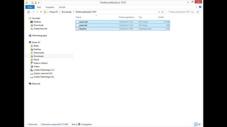 Watch Dogs The Worse Mod - Installationsanleitung
