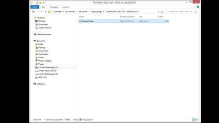Watch Dogs The Worse Mod - Installationsanleitung