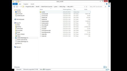Watch Dogs The Worse Mod - Installationsanleitung
