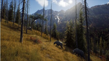 Way of the Hunter - Screenshots zur Jagdsimulation