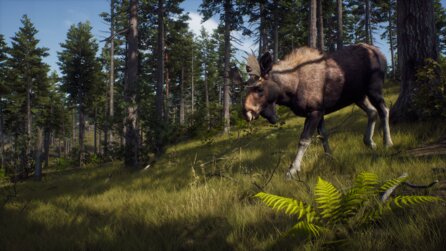 Way of the Hunter - Screenshots zur Jagdsimulation