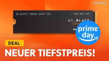 Tschüss Ladezeiten! Die 2TB NVMe Gaming-SSD von Western Digital ist so günstig wie noch nie!