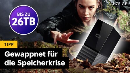 SSDs zu teuer pro Gigabyte? Greift zu dieser Alternative, bevor es sie auch erwischt!