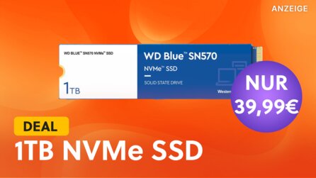 Derzeit bekommt ihr eine starke M.2 SSD mit 1 TB und NVMe für nur 39,99€!
