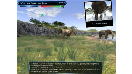 Wild Earth Africa - Screenshots